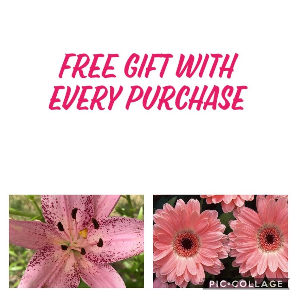 Get a free Gift 🎁